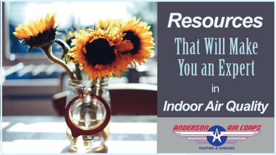 4 Resources That Will Make You an Expert in Indoor Air Quality